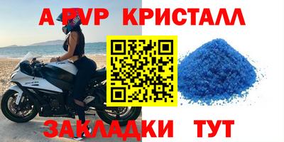 apvp Кингисепп