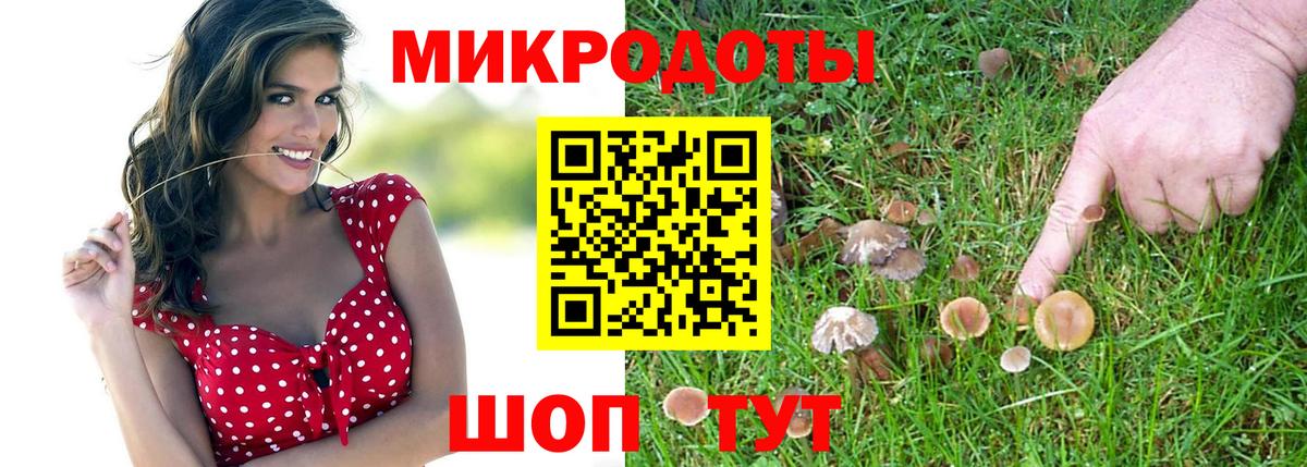 Псилоцибиновые грибы прущие грибы  Псилоцибиновые грибы Psilocybine cubensis  Краснодар  Вход с VPN 