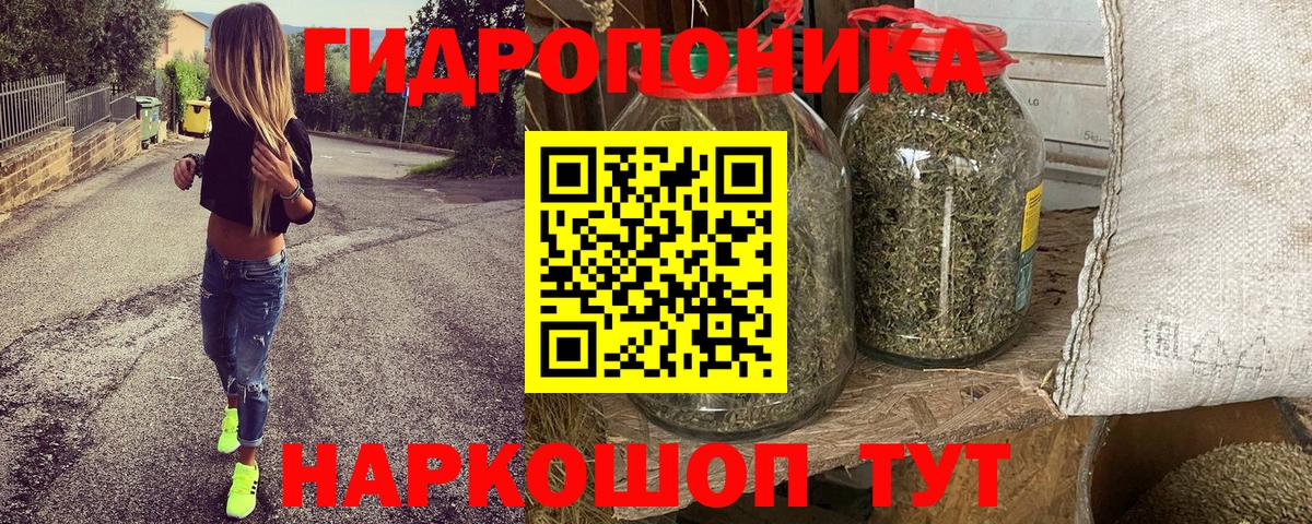 Бошки марихуана план Краснодар